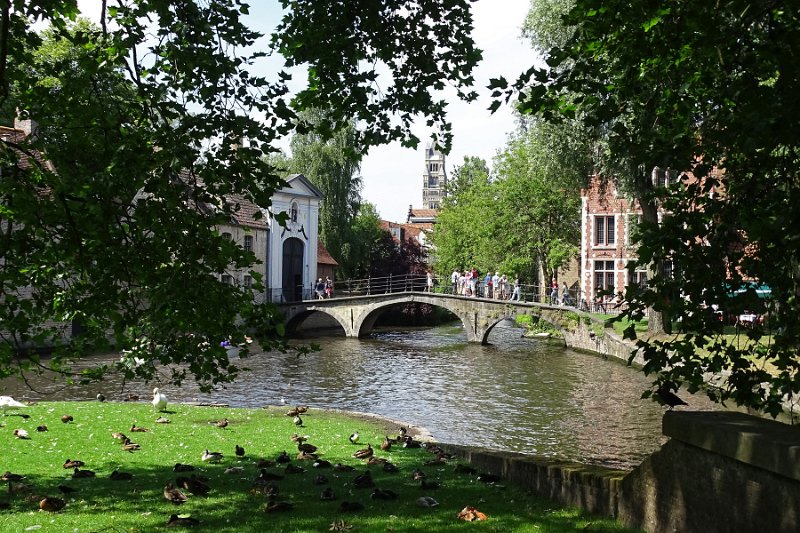 DSC09900