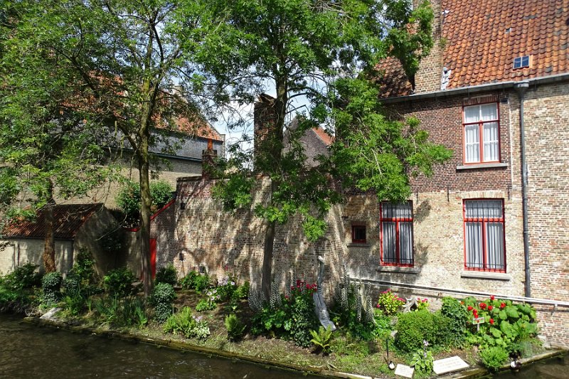 DSC09906