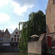 DSC09717