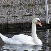 DSC09737