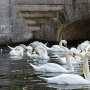DSC09738