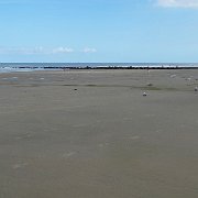 DSC09770