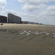 DSC09772