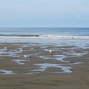 DSC09774