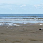 DSC09775