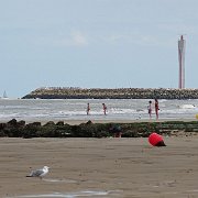 DSC09778