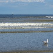 DSC09779