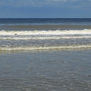 DSC09781
