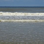 DSC09784