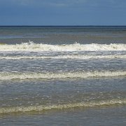 DSC09786