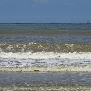 DSC09800
