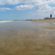 DSC09801