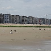 DSC09805