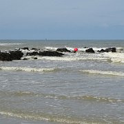 DSC09812