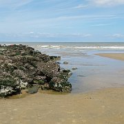DSC09820