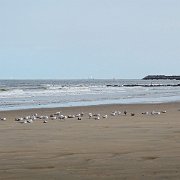 DSC09830