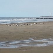 DSC09831