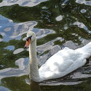 DSC09896