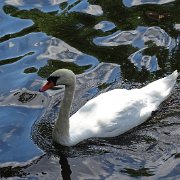 DSC09897