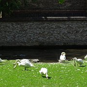 DSC09898