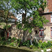 DSC09906