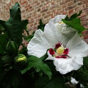 DSC09922