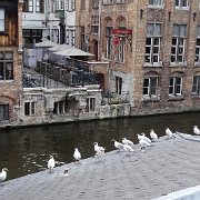 DSC09930