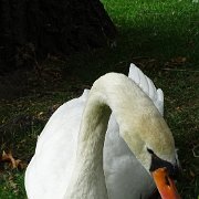 DSC09947