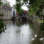 DSC09951