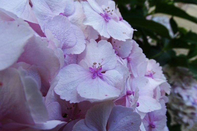 DSC00007