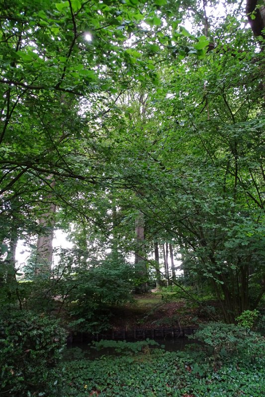 DSC00013