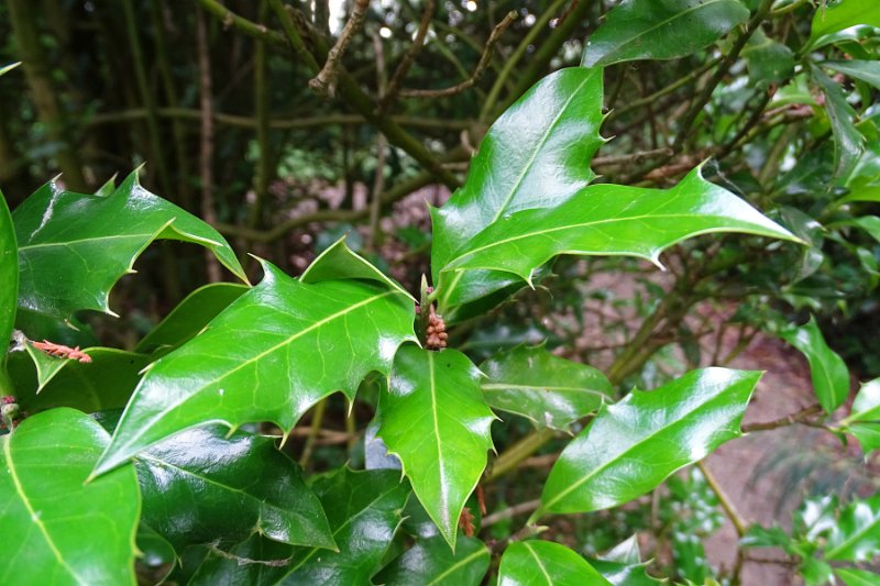 DSC00015