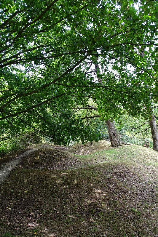 DSC00106