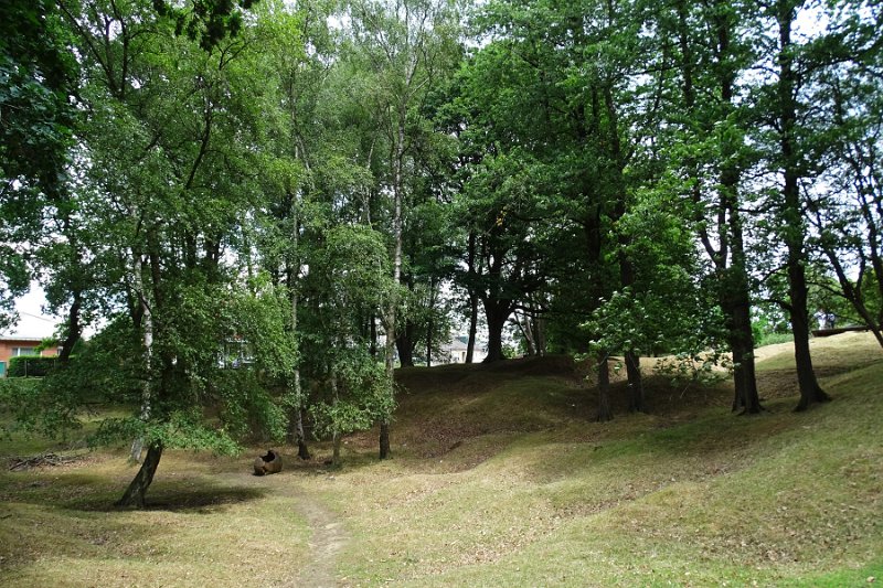 DSC00107
