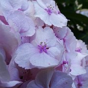 DSC00007