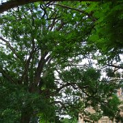 DSC00011