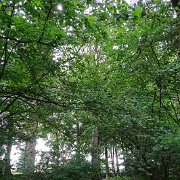 DSC00013