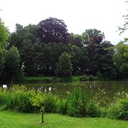 DSC00019