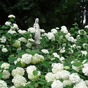 DSC00021