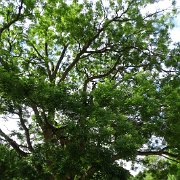 DSC00027