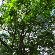 DSC00028