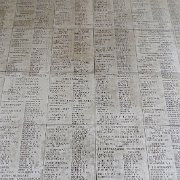 DSC00079