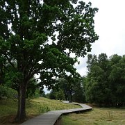 DSC00102