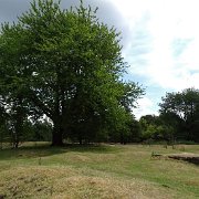 DSC00105