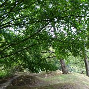 DSC00106