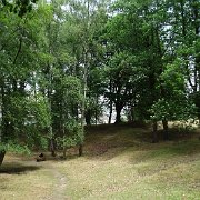 DSC00107
