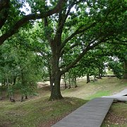 DSC00111