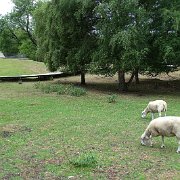 DSC00126