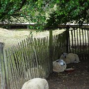 DSC00127