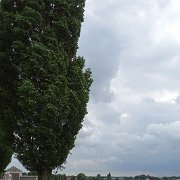 DSC00137